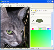 Pet Eye Pilot screenshot